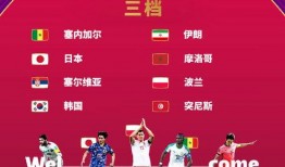 世界杯爆料最新结果公布